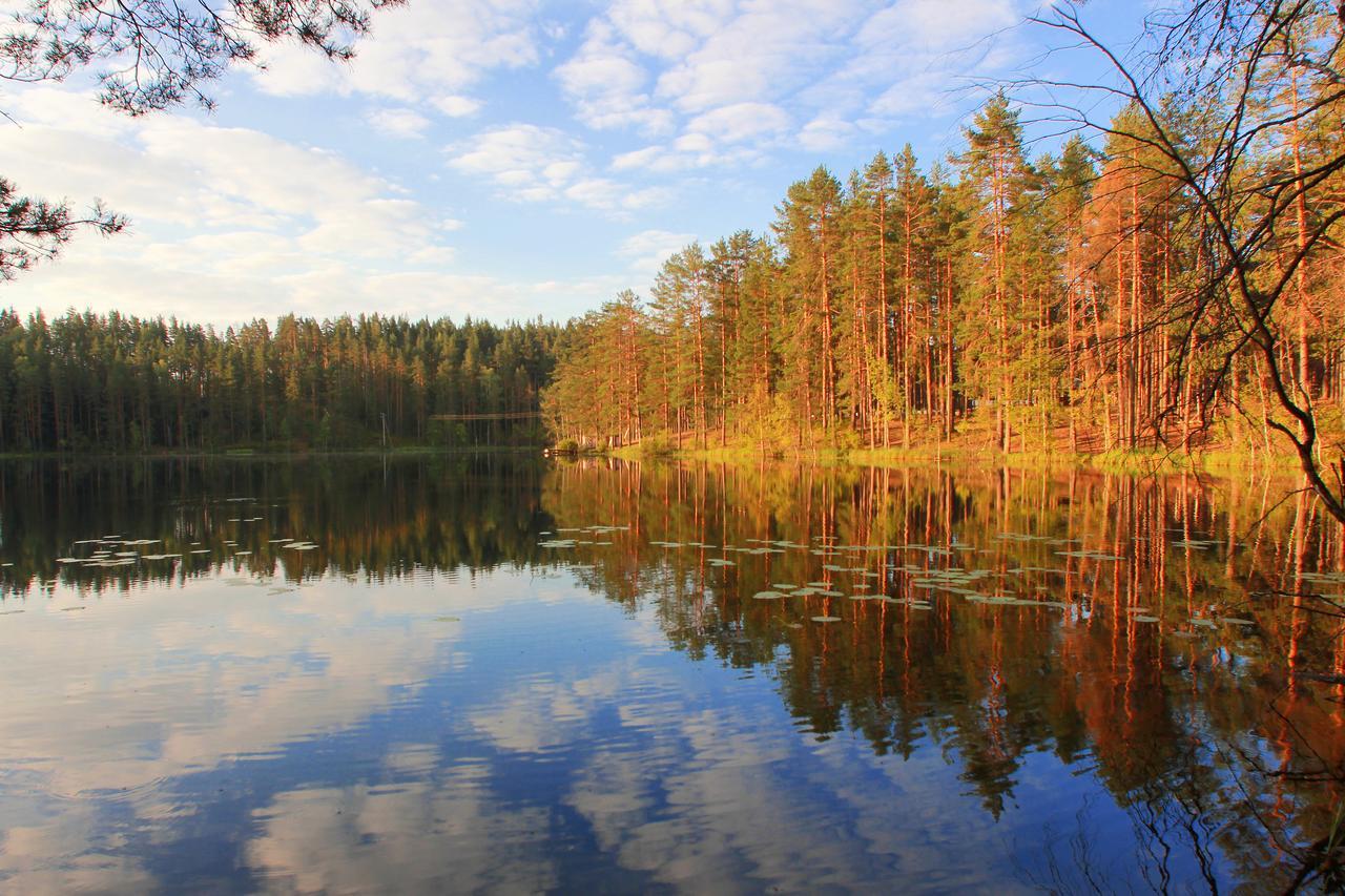 ОТЕЛЬ SHISHKI НА ЛАМПУШКЕ - ДОМ-ДЕ-КАМПО РАЗДОЛЬЕ 4* (Россия) - от 7436 RUB  | NOCHI